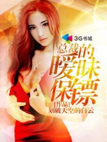 President's Ambiguous Bodyguard